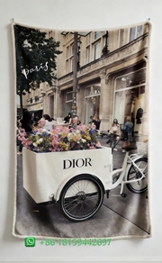 Dior Throw Blankets